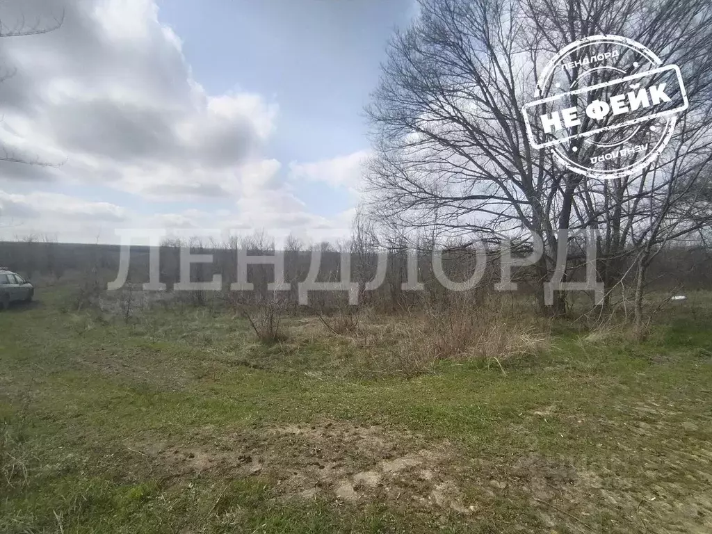 Участок в Ростовская область, Родионово-Несветайский район, Волошино ... - Фото 0