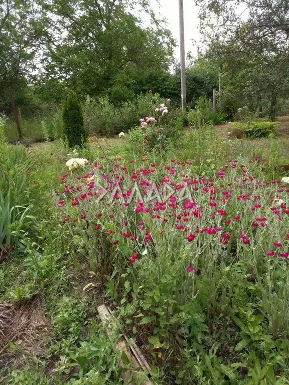 Участок в Ростовская область, Аксайский район, Большелогское с/пос, ... - Фото 1
