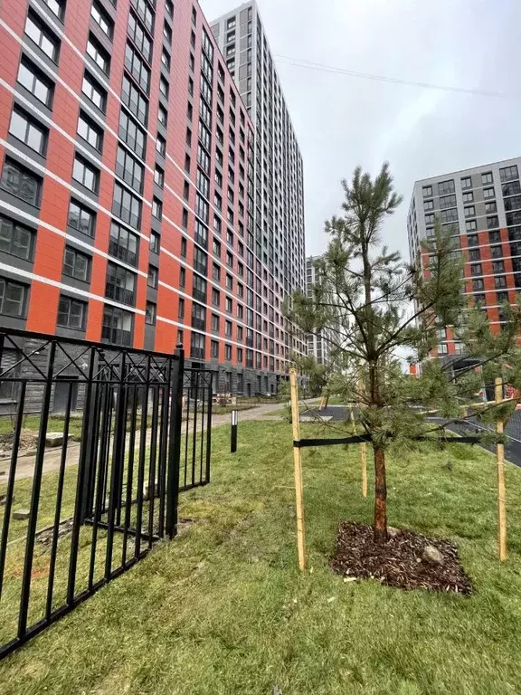 2-к кв. Ленинградская область, Всеволожский район, Свердловское ... - Фото 2