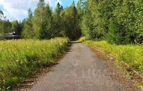 Участок в Московская область, Одинцовский городской округ, д. Торхово  ... - Фото 1