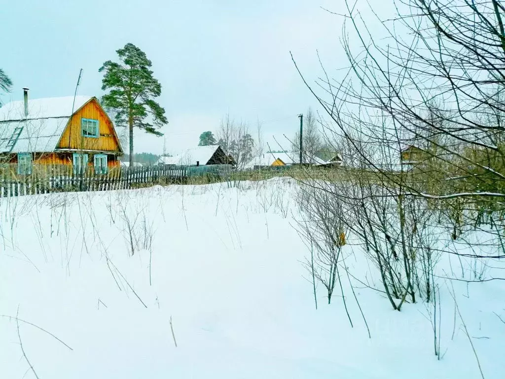 Участок в Свердловская область, Верхняя Пышма городской округ, пос. .,  Купить земельный участок Половинный, Свердловская область, ID объекта -  20004625034