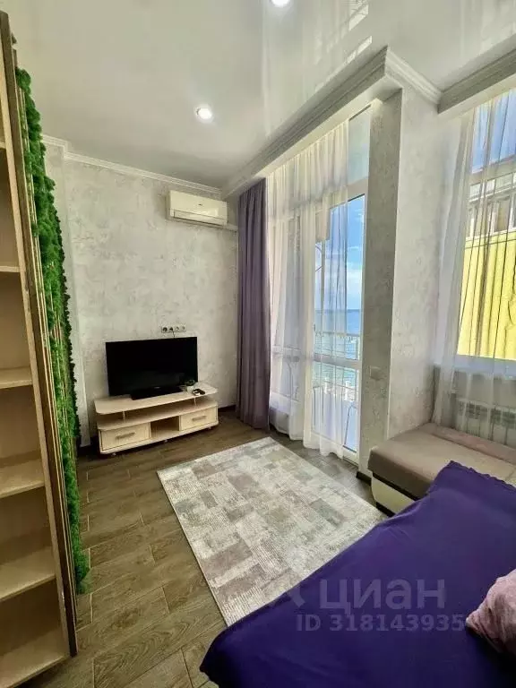1-к кв. Краснодарский край, Сочи ул. Просвещения, 118/1 (31.0 м) - Фото 1