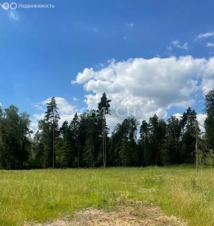 Участок в Шевёлкино, улица Муслима Магомаева, 11 (8 м) - Фото 2