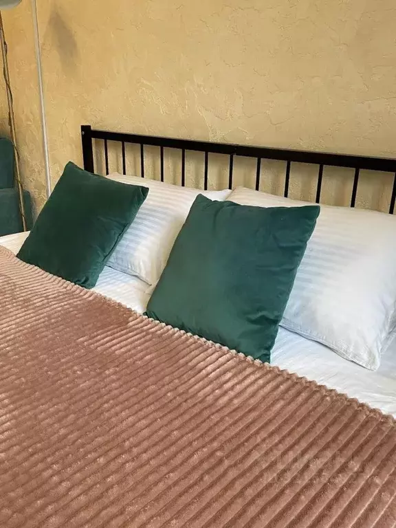 1-к кв. Московская область, Протвино Серпухов городской округ, ул. ... - Фото 2