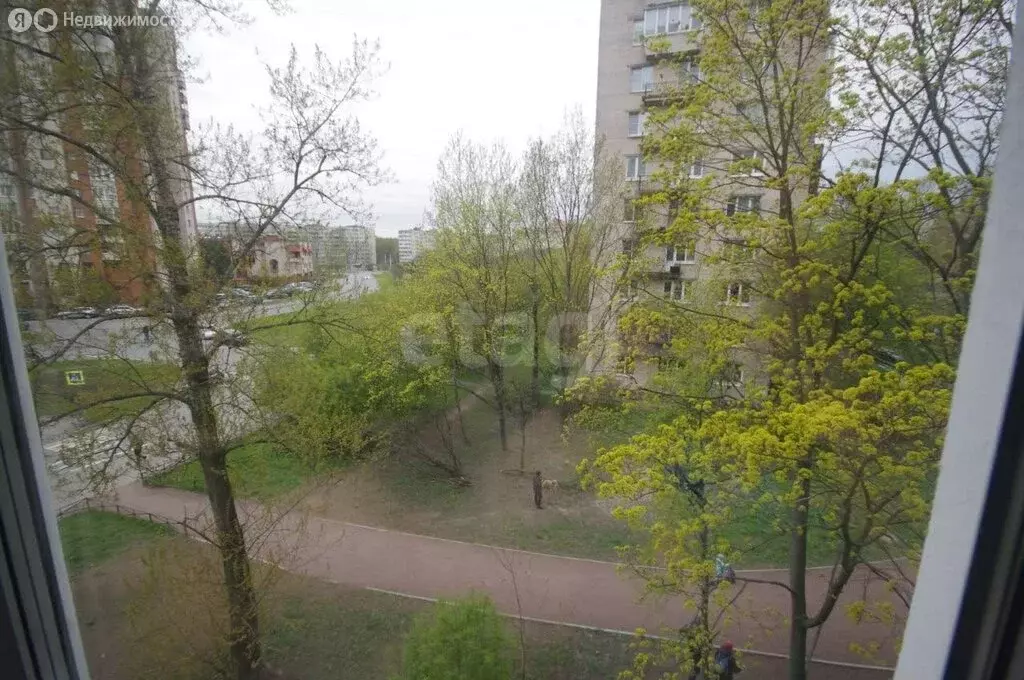 3-комнатная квартира: Санкт-Петербург, улица Турку, 24к1 (54.3 м) - Фото 1