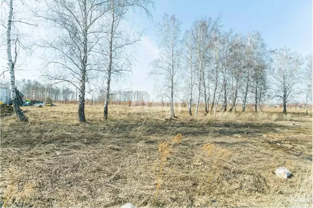 Участок в Новосибирская область, Бердск ул. Радостная, 17 (10.0 сот.) - Фото 1