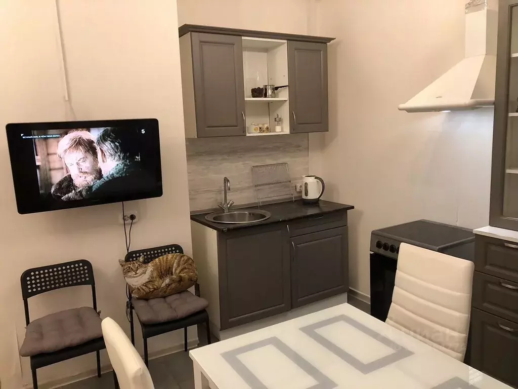 Студия Московская область, Химки проезд Тепличный, 8 (28.0 м) - Фото 2