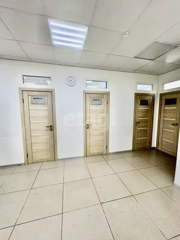 Офис в Белгородская область, Белгород ул. Буденного, 17г (52 м) - Фото 1