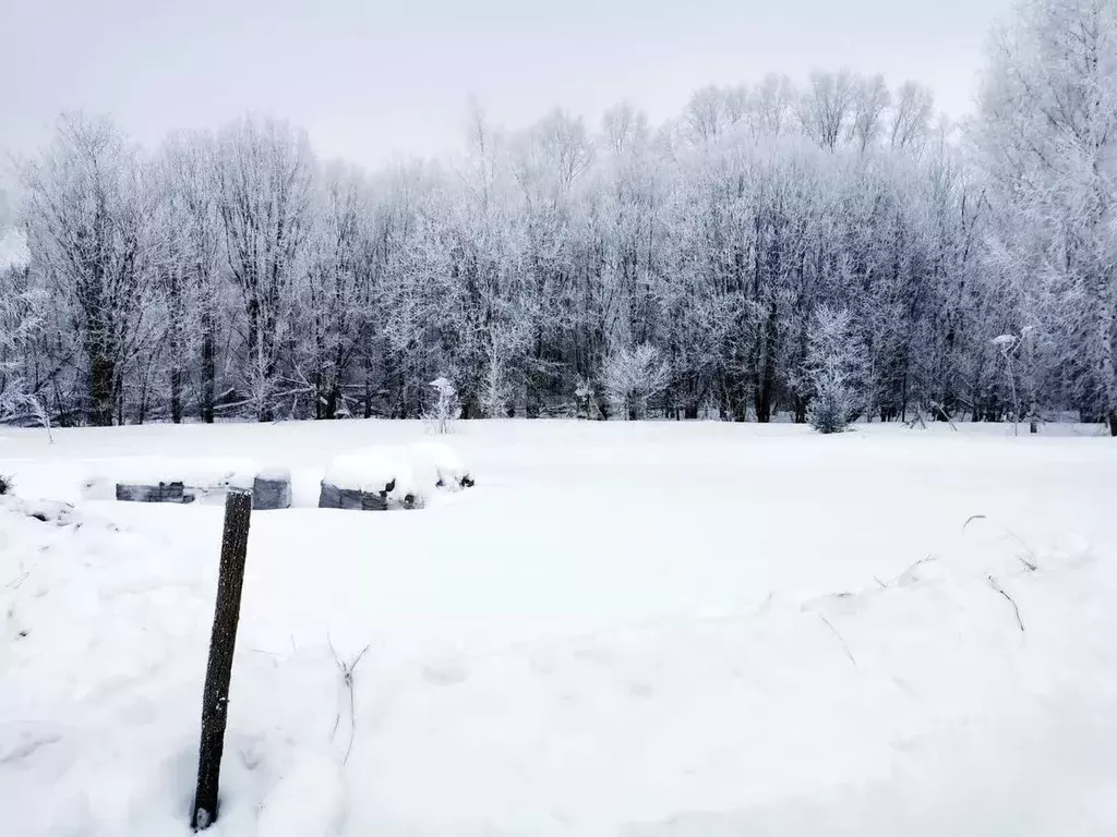 Участок в Владимирская область, Муромский район, с. Ковардицы 4-я ... - Фото 0