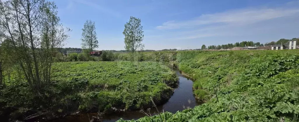 Участок в Ленинградская область, Всеволожский район, Агалатовское ... - Фото 1