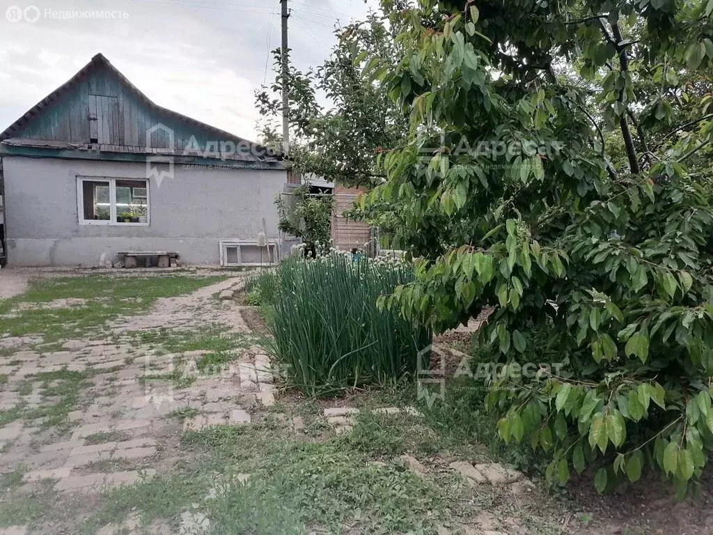 Дом в Волгоград, СНТ Горчичник (50 м) - Фото 1