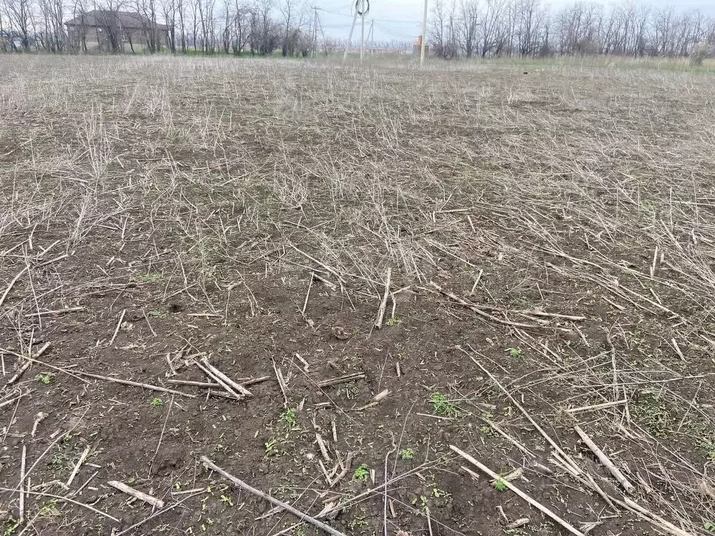 Участок в Ростовская область, Мясниковский район, с. Большие Салы ул. ... - Фото 1