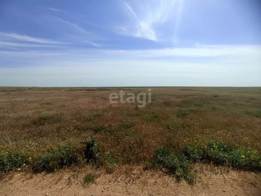 Участок в Крым, Черноморский район, с. Новосельское ул. Ленина (5.0 ... - Фото 1