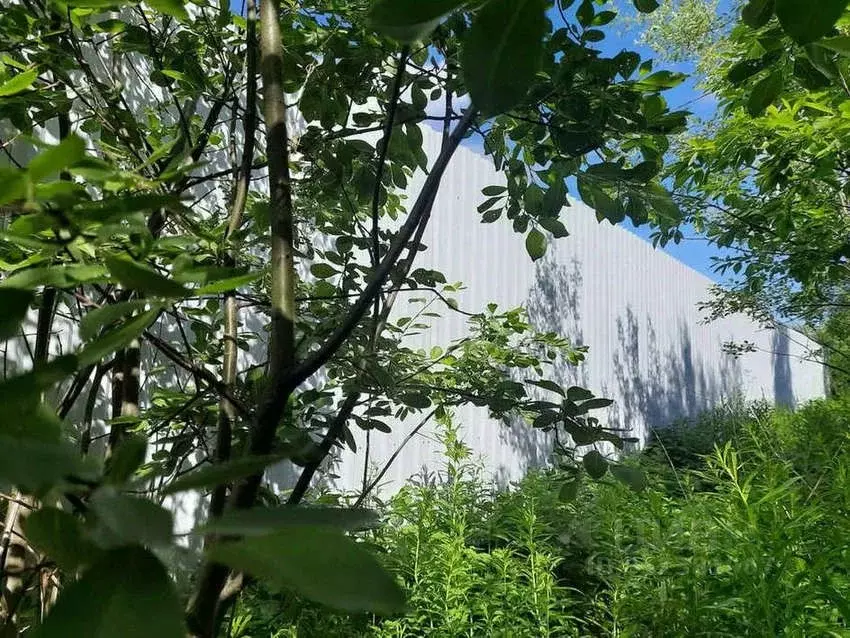 Участок в Мурманская область, Кольский район, Кильдинстрой городское ... - Фото 1