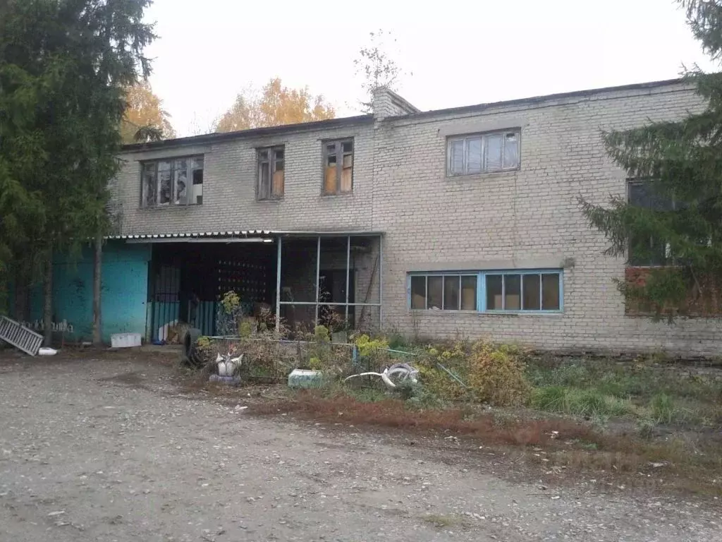 Помещение свободного назначения в Пензенская область, Лунино рп ул. ... - Фото 2