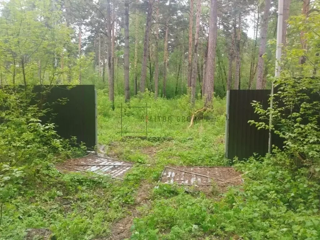Участок в Новосибирская область, Новосибирский район, Мочищенский ... - Фото 1