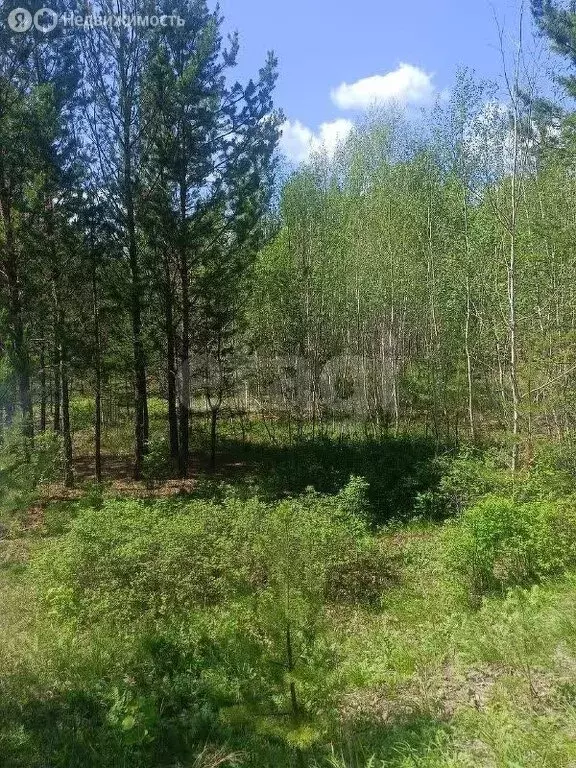 Участок в Читинский район, село Смоленка (16.5 м) - Фото 0
