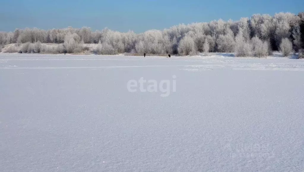 Участок в Пензенская область, Малосердобинский район, с. Саполга ул. ... - Фото 1