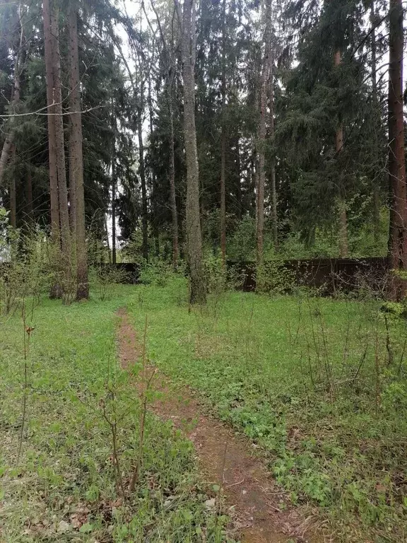 Участок в Московская область, Наро-Фоминский городской округ, ... - Фото 1