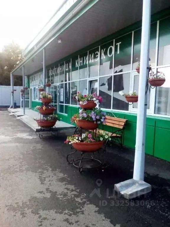 Комната Курганская область, Курган ул. Марии Ульяновой, 4 (10.0 м) - Фото 1