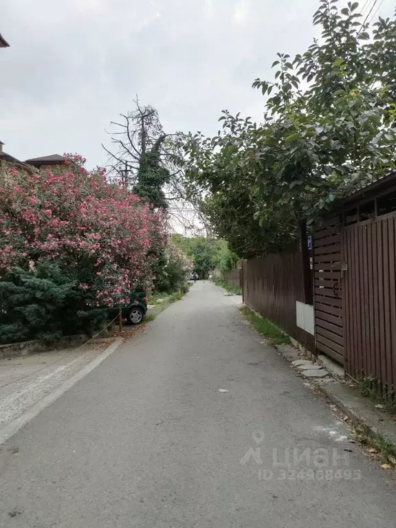 Студия Краснодарский край, Сочи городской округ, с. Краевско-Армянское ... - Фото 2