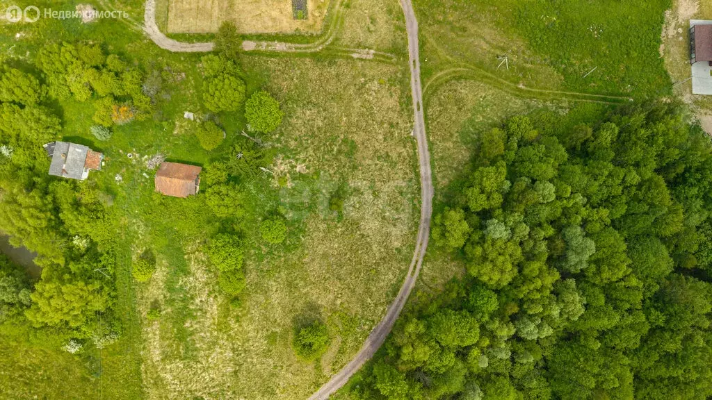 Участок в Полесск, Лесная улица (12 м) - Фото 2