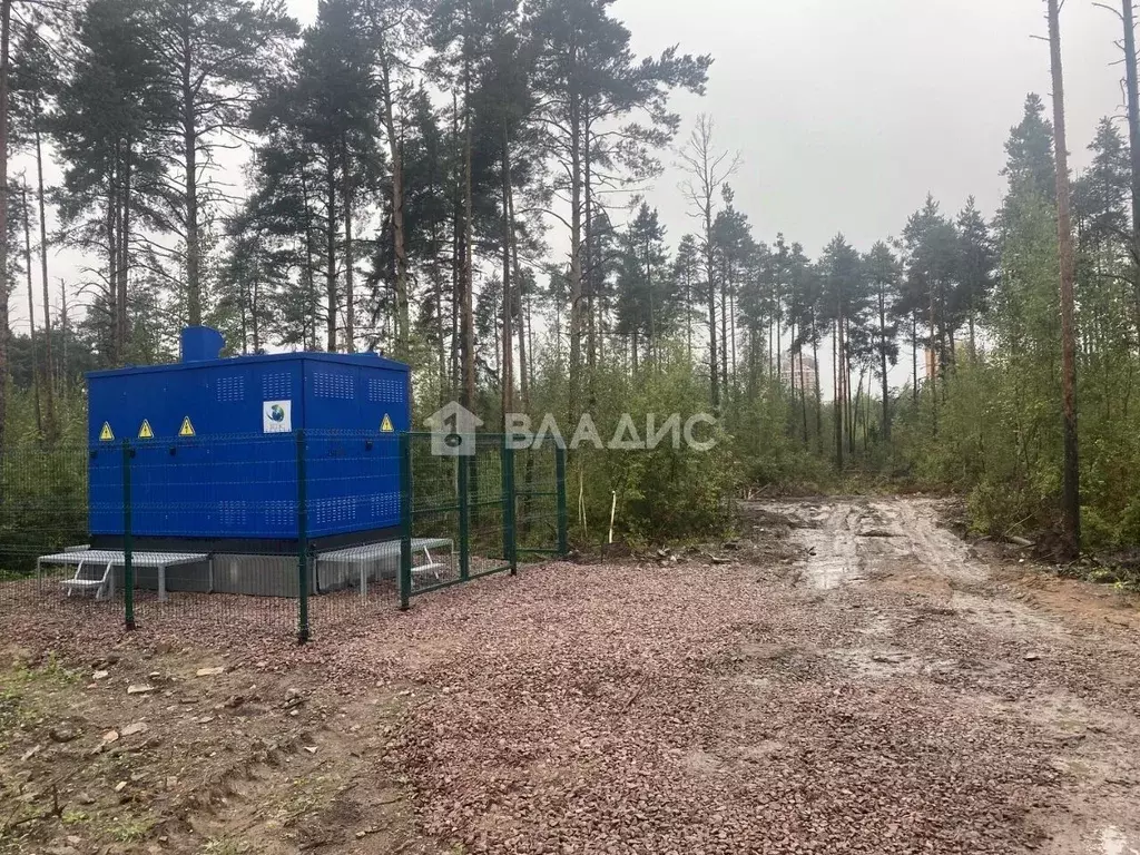 Участок в Ленинградская область, Всеволожск ул. Мужества (6.0 сот.) - Фото 1