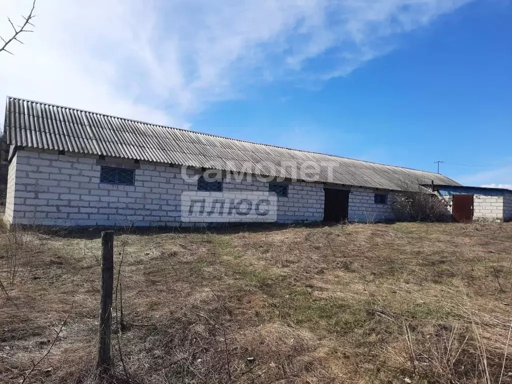 Помещение свободного назначения в Курская область, Горшеченский район, ... - Фото 0