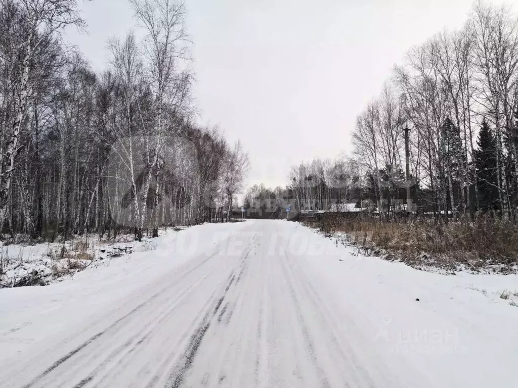 Участок в Тюменская область, Нижнетавдинский муниципальный округ, ... - Фото 1