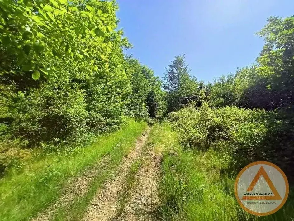 Участок в Краснодарский край, Туапсинский муниципальный округ, с. ... - Фото 2