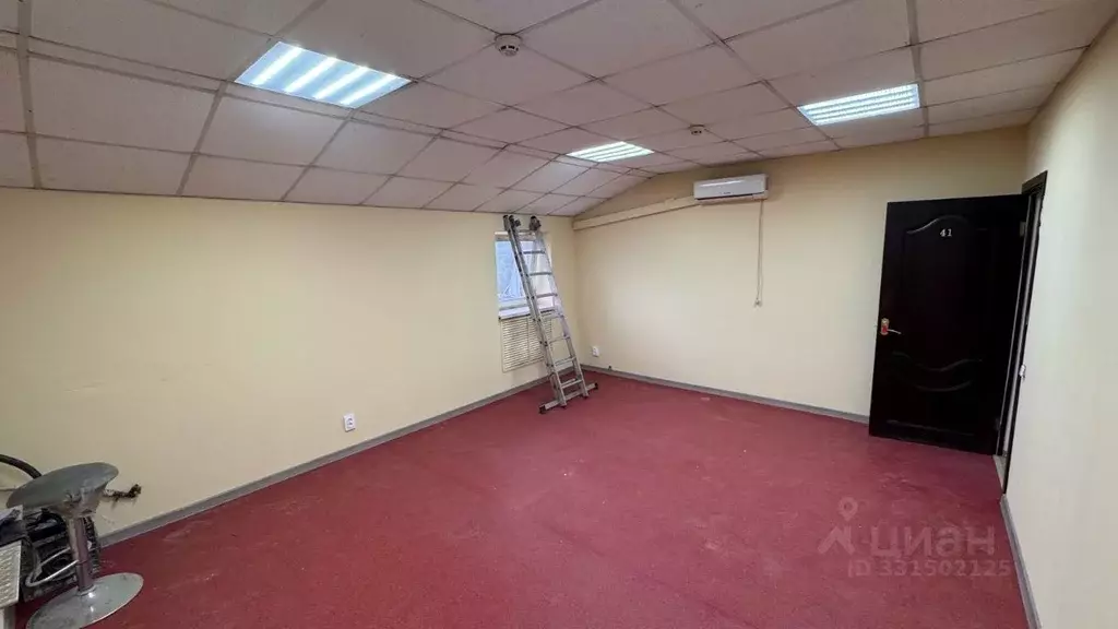 Помещение свободного назначения в Орловская область, Орел ул. ... - Фото 1