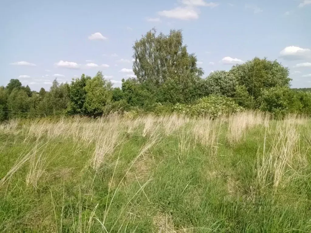 Участок в Брянская область, Жуковский муниципальный округ, с. Овстуг ... - Фото 1