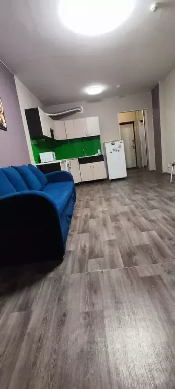 Студия Пермский край, Пермь ул. Вильямса, 51А (26.0 м) - Фото 2