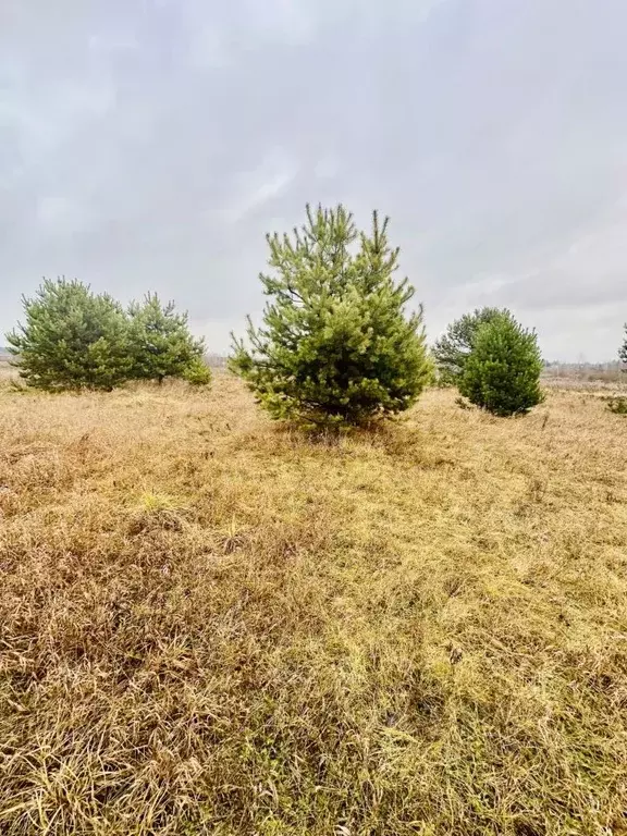 Участок в Московская область, Егорьевск муниципальный округ, д. ... - Фото 1