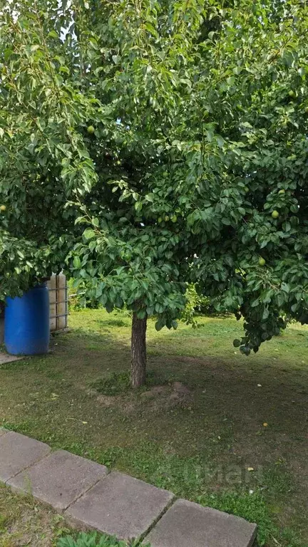 Дом в Московская область, Солнечногорск городской округ, д. Дурыкино ... - Фото 2