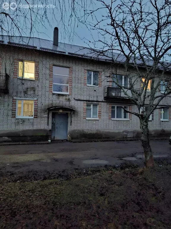 3-комнатная квартира: село Хелюля, Хелюльское шоссе, 15 (55.2 м) - Фото 1