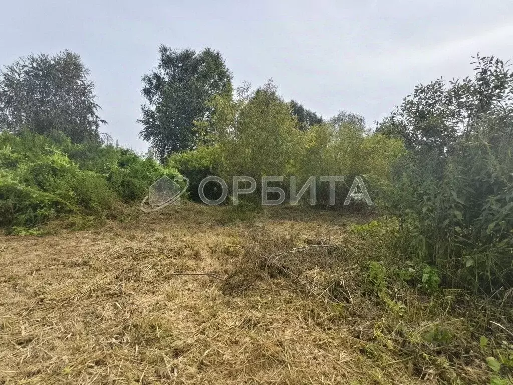 Участок в Тюменская область, Нижнетавдинский район, Виктория ТСН ул. ... - Фото 0
