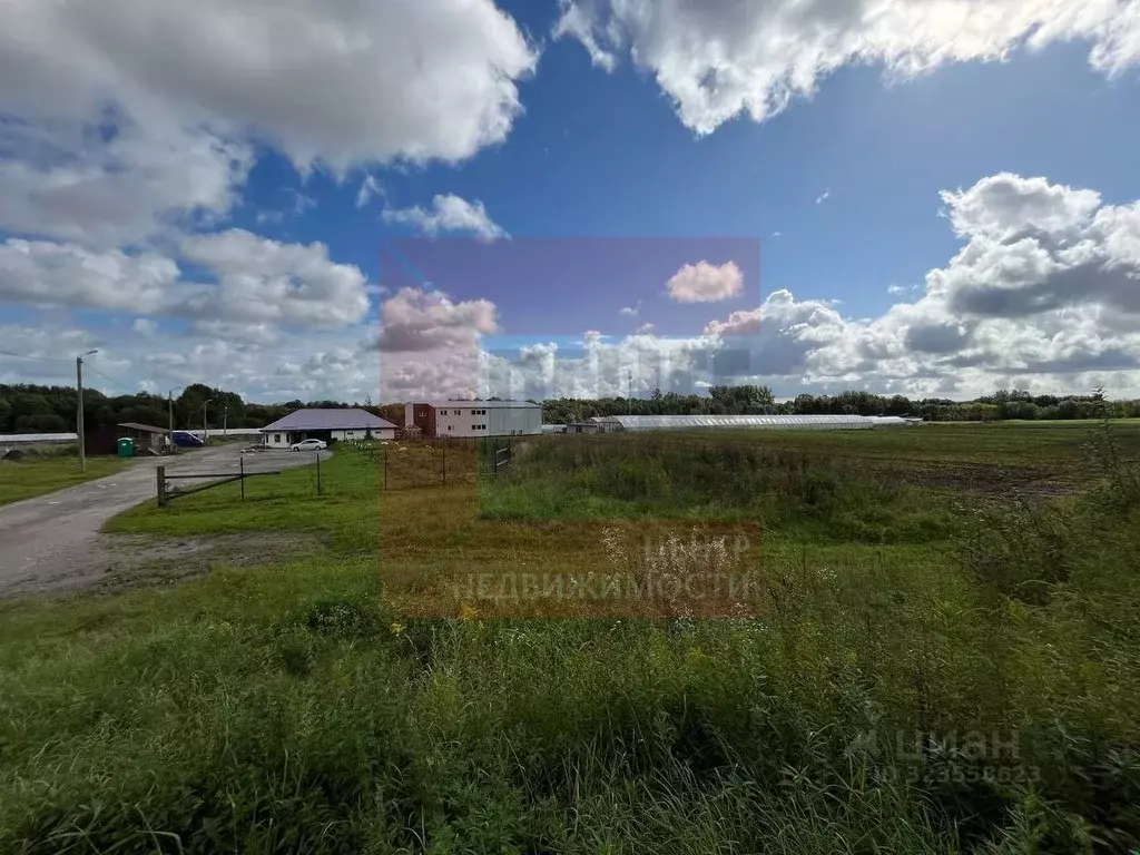 Производственное помещение в Калининградская область, Зеленоградский ... - Фото 1