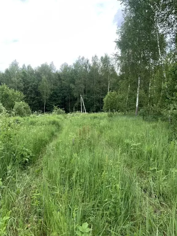 Участок в Калужская область, Калуга городской округ, с. Некрасово  ... - Фото 1