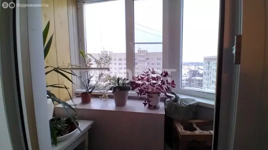 3-комнатная квартира: Кострома, Индустриальная улица, 23 (65 м) - Фото 0