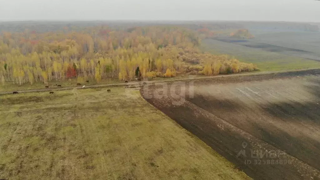 Участок в Тюменская область, Тюменский муниципальный округ, ... - Фото 1