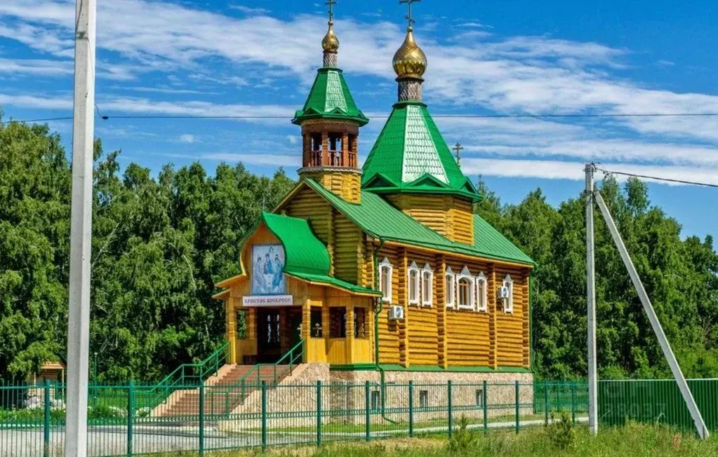 Участок в Омская область, Омский район, Пушкинское с/пос, д. Ракитинка ... - Фото 1