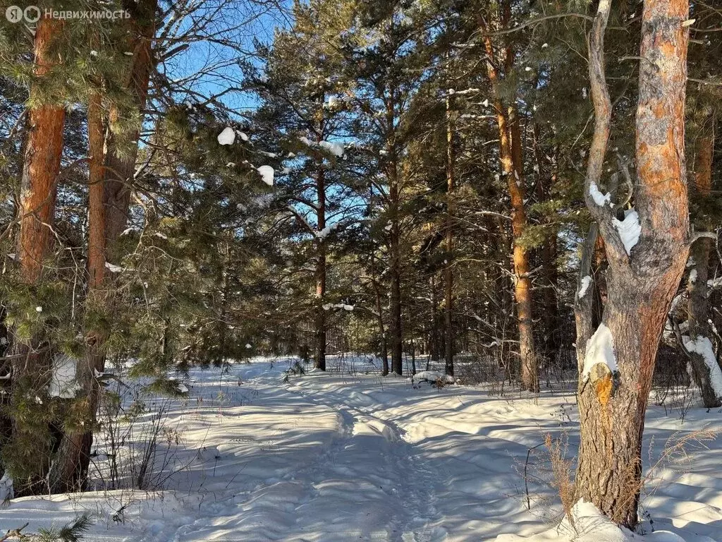 Участок в Свердловская область, Сысертский муниципальный округ, ... - Фото 1