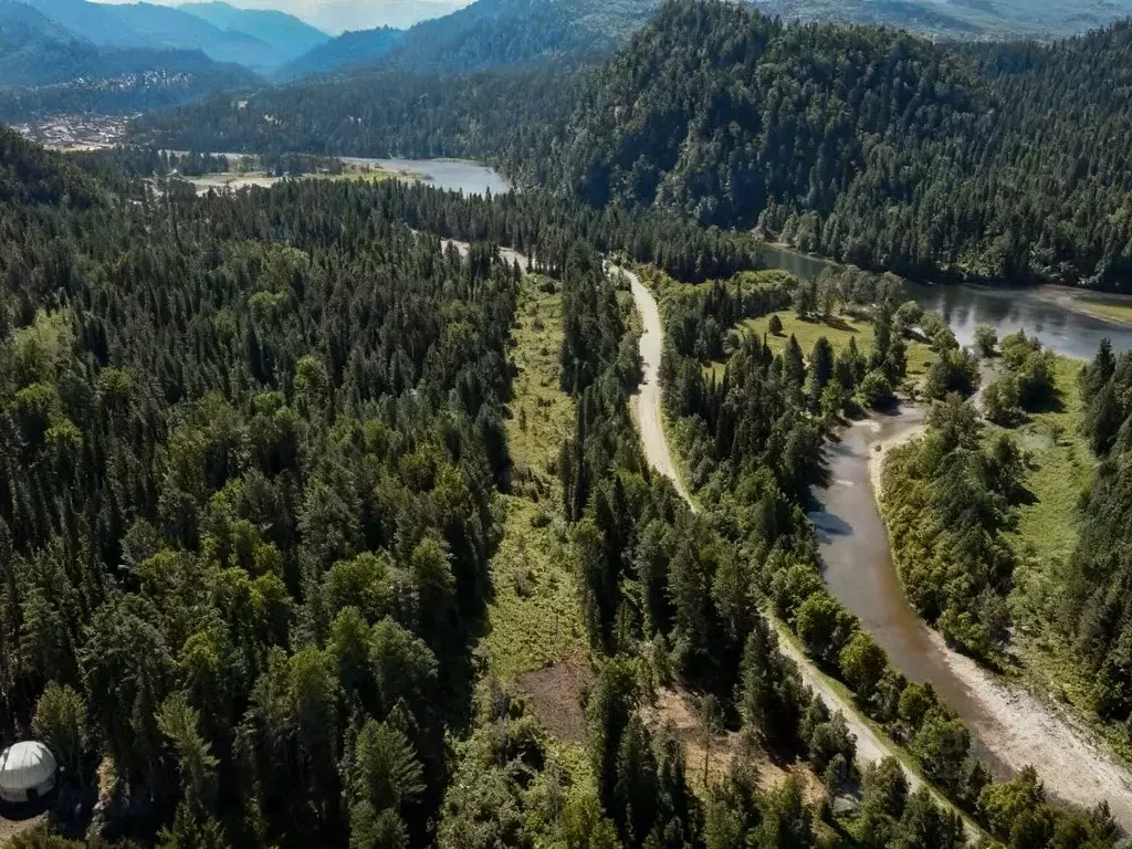 Участок в Алтай, Турочакский район, с. Дмитриевка  (10.0 сот.) - Фото 2