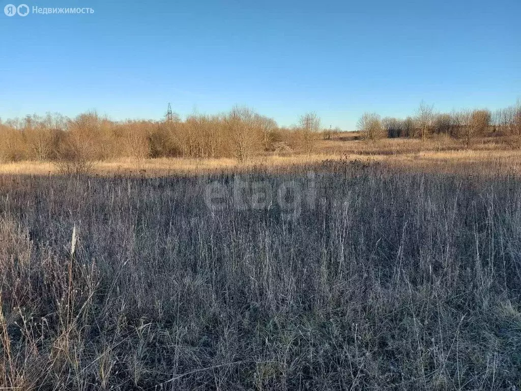 Участок в Вологодская область, рабочий посёлок Шексна (12.5 м) - Фото 2