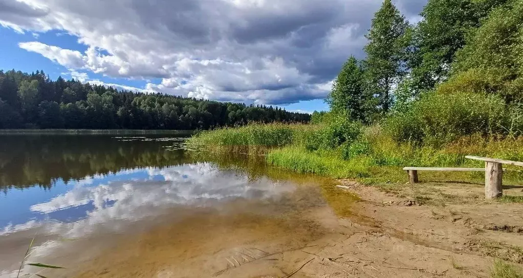 Участок в Ленинградская область, Выборгский район, Каменногорское ... - Фото 1