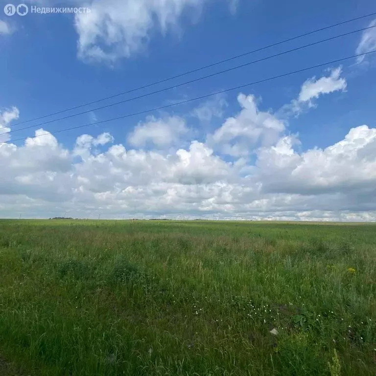 Участок в деревня Новый Мусабай, Новая улица (10 м) - Фото 1