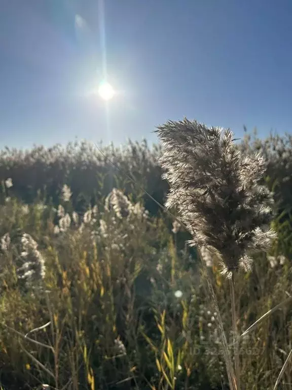 Участок в Краснодарский край, Анапа муниципальный округ, пос. Уташ ул. ... - Фото 1