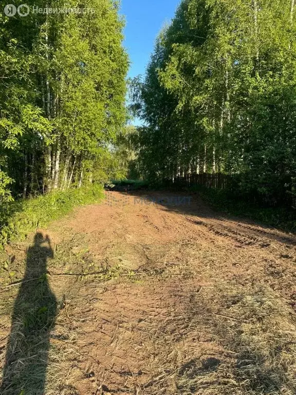 Участок в Нижегородская область, Богородский муниципальный округ, ... - Фото 2