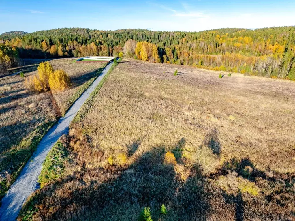 Участок в Карелия, Питкярантский муниципальный округ, пос. Ляскеля, ... - Фото 2